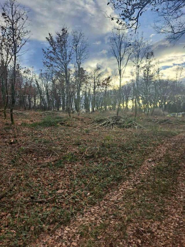 Građevinsko zemljište Građevinsko zemljište 1150 m², Kringa, Tinjan
