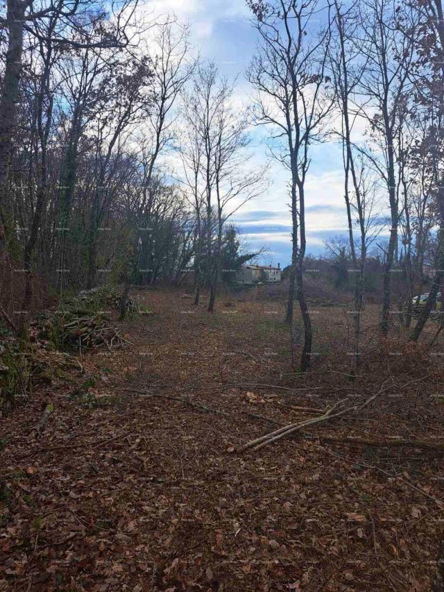 Građevinsko zemljište Građevinsko zemljište 1150 m², Kringa, Tinjan