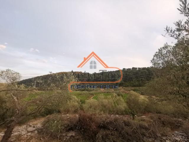 Korčula - Čara - građevinsko zemljište 1500m2