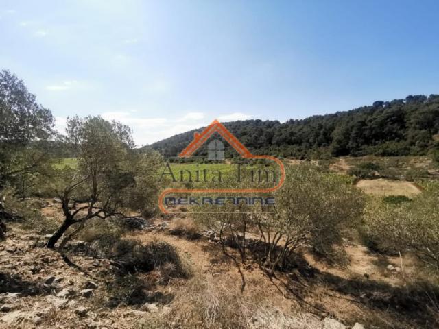 Korčula - Čara - građevinsko zemljište 1500m2