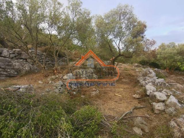 Korčula - Čara - građevinsko zemljište 1500m2