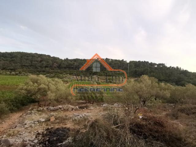 Korčula - Čara - građevinsko zemljište 1500m2