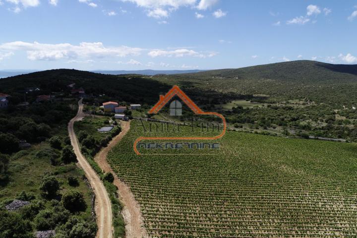 BRAČ - BRUSJE VINOGRAD, RIJETKO NA TRŽIŠTU