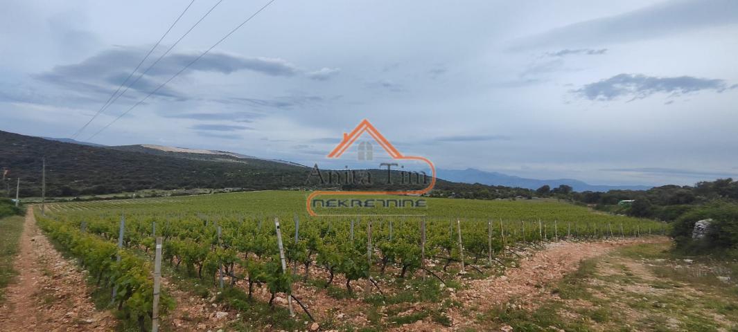 BRAČ - BRUSJE VINOGRAD, RIJETKO NA TRŽIŠTU