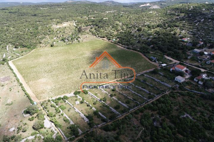 BRAČ - BRUSJE VINOGRAD, RIJETKO NA TRŽIŠTU