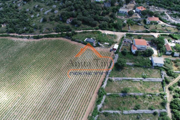 BRAČ - BRUSJE VINOGRAD, RIJETKO NA TRŽIŠTU