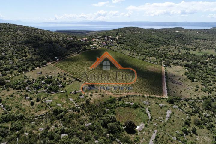 BRAČ - BRUSJE VINOGRAD, RIJETKO NA TRŽIŠTU