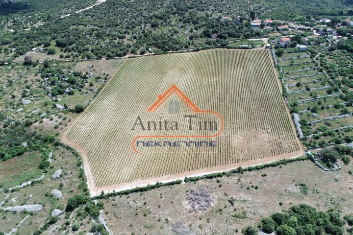BRAČ - BRUSJE VINOGRAD, RIJETKO NA TRŽIŠTU