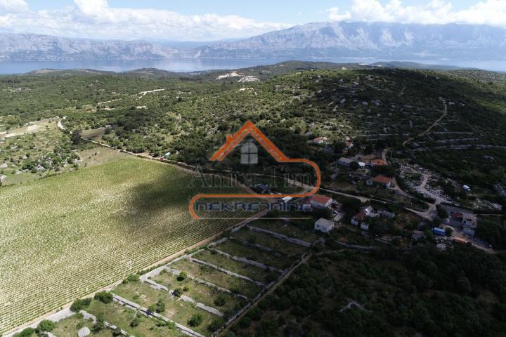 BRAČ - BRUSJE VINOGRAD, RIJETKO NA TRŽIŠTU
