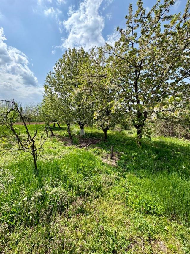 Plac 800m2 Vukovar - Mitnica, idealno za kuću