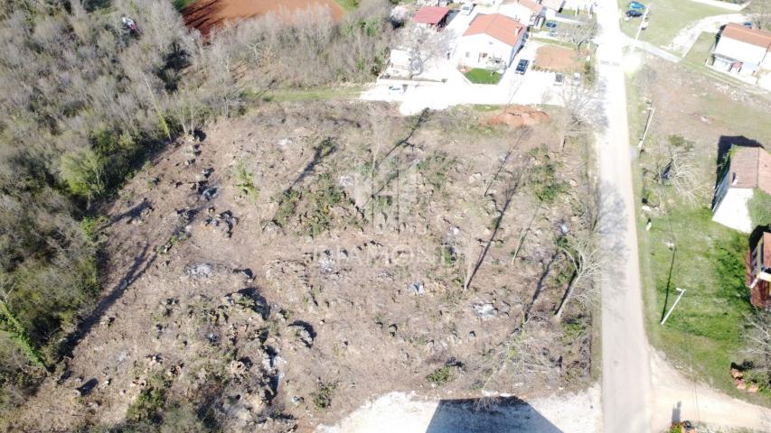 Poreč, okolica, prostrano zemljište za gradnju stanova