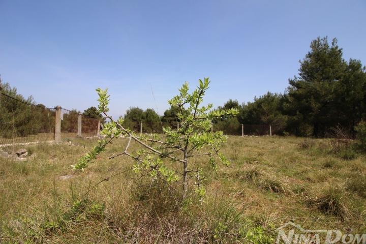 Poljoprivredno zemljište 541 m2 