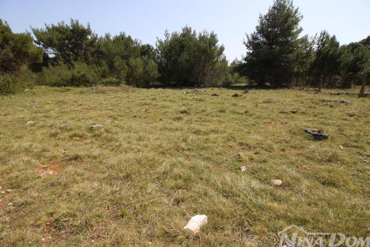 Poljoprivredno zemljište 541 m2 
