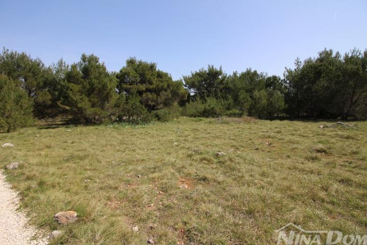 Poljoprivredno zemljište 541 m2 