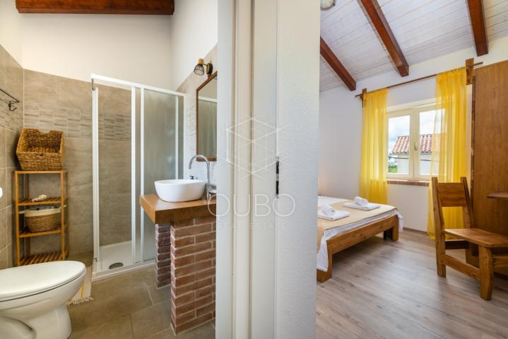 Krnica – istarska kamena vila s grijanim bazenom i jacuzzijem