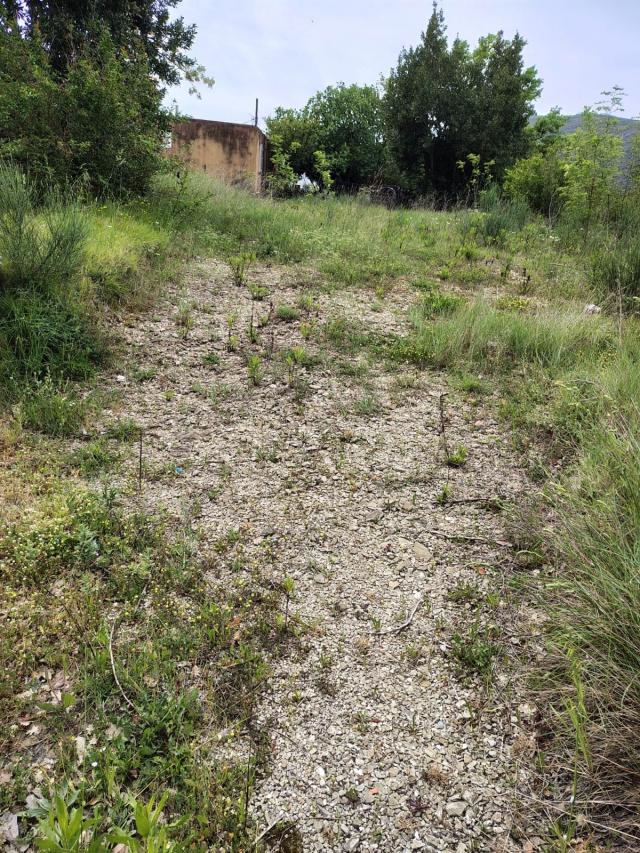 PLAC SA GRADKEVINSKOM DOZVOLOM 