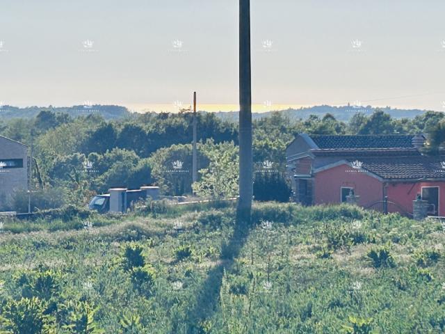 Istra, environs de Tinjan, parcelle constructible de 1206 m², infrastructures au bord de la parcelle