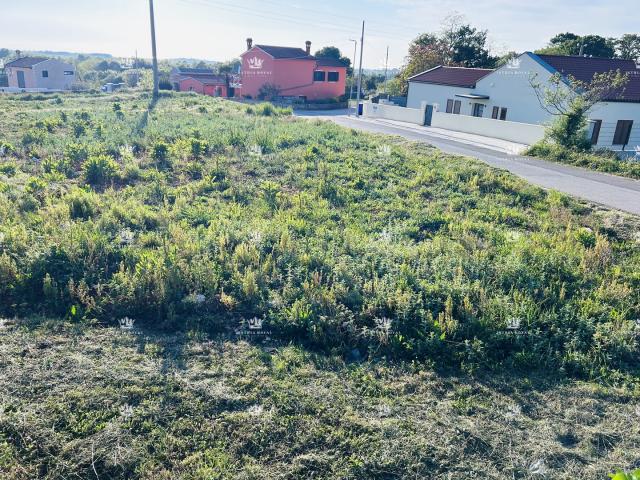Istra, environs de Tinjan, parcelle constructible de 1206 m², infrastructures au bord de la parcelle