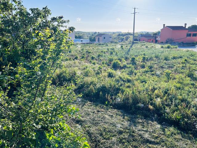 Istra, environs de Tinjan, parcelle constructible de 1206 m², infrastructures au bord de la parcelle