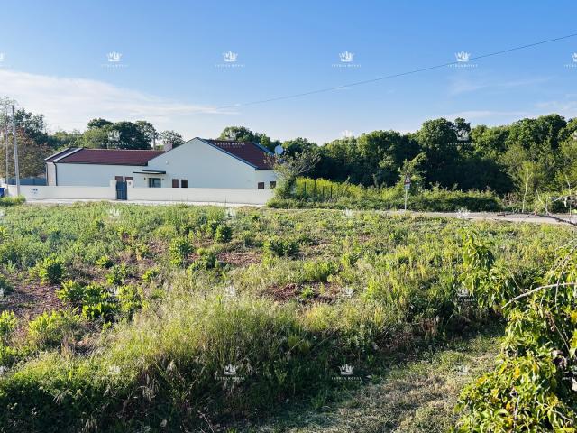 Istra, environs de Tinjan, parcelle constructible de 1206 m², infrastructures au bord de la parcelle