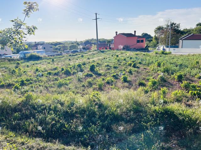 Istra, environs de Tinjan, parcelle constructible de 1206 m², infrastructures au bord de la parcelle