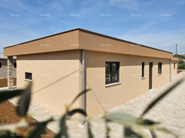 House Ground-floor house with a pool – vicinity of Poreč