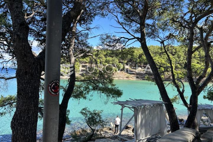 Hvar, Jelsa, dvosobni apartman u prizemlju