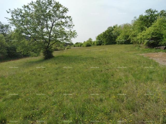 Građevinsko zemljište Građevinsko zemljište 3.528 m² ,  u blizini Grožnjana