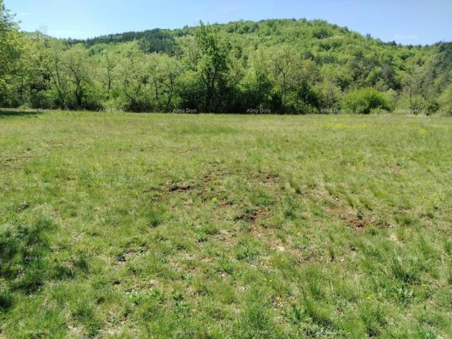 Građevinsko zemljište Građevinsko zemljište 3.528 m² ,  u blizini Grožnjana