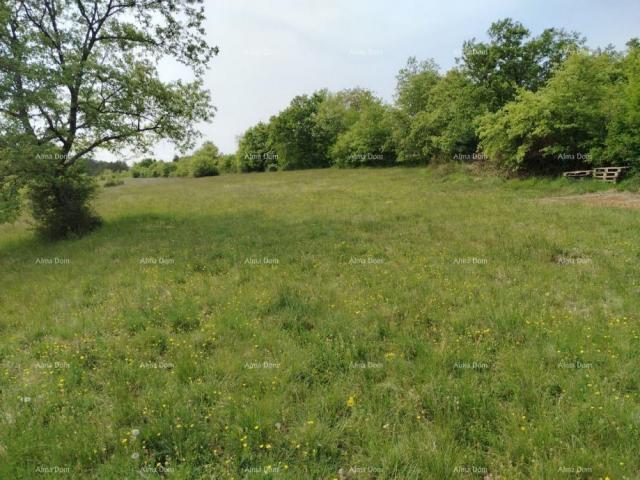 Građevinsko zemljište Građevinsko zemljište 3.528 m² ,  u blizini Grožnjana