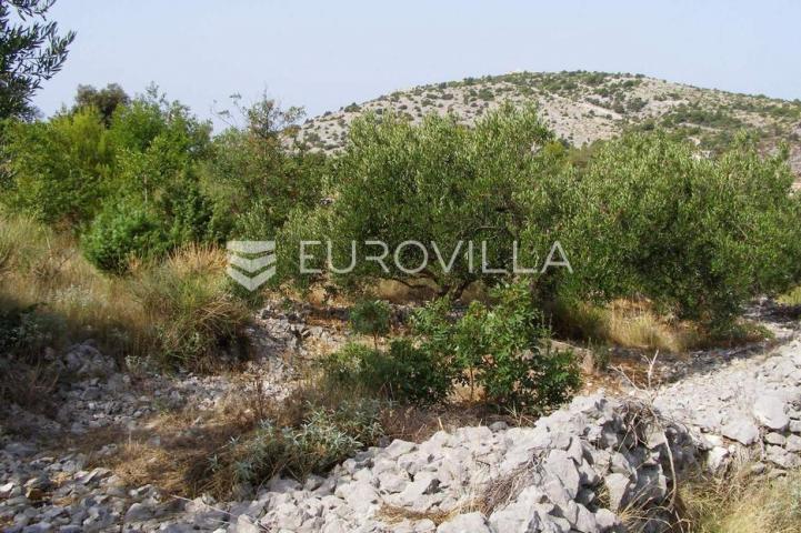 Ražanj, poljoprivredno zemljište, 685 m². 