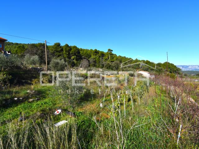 Rijetka prilika – zemljište 3.112 m², Dol, otok Hvar