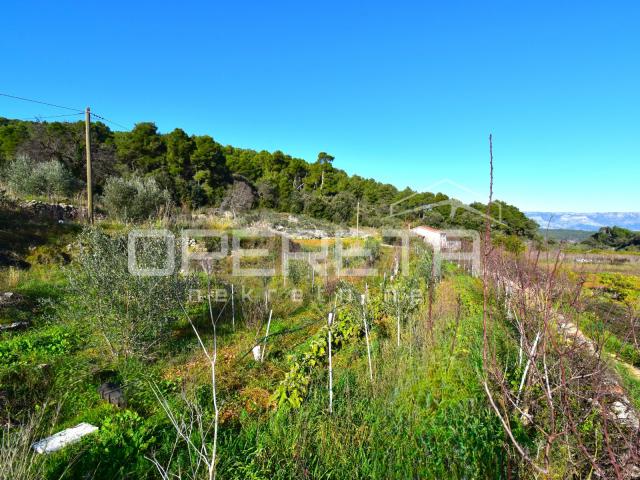 Rijetka prilika – zemljište 3.112 m², Dol, otok Hvar