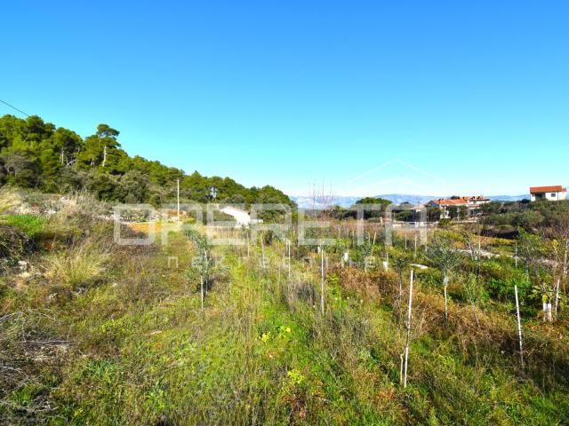 Rijetka prilika – zemljište 3.112 m², Dol, otok Hvar