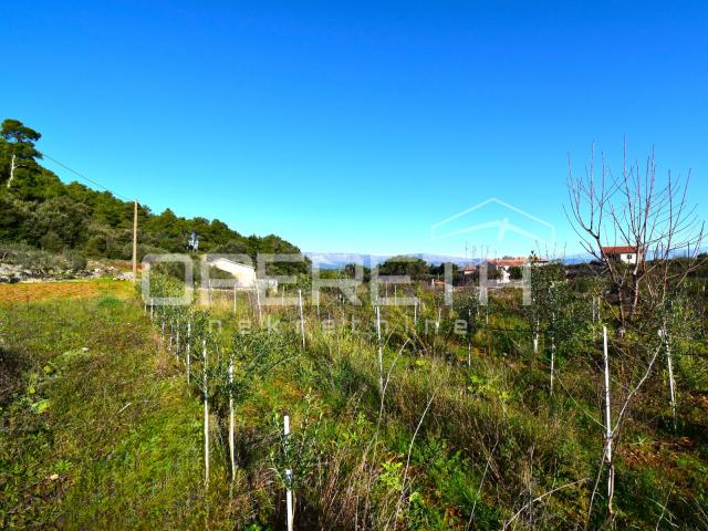 Rijetka prilika – zemljište 3.112 m², Dol, otok Hvar