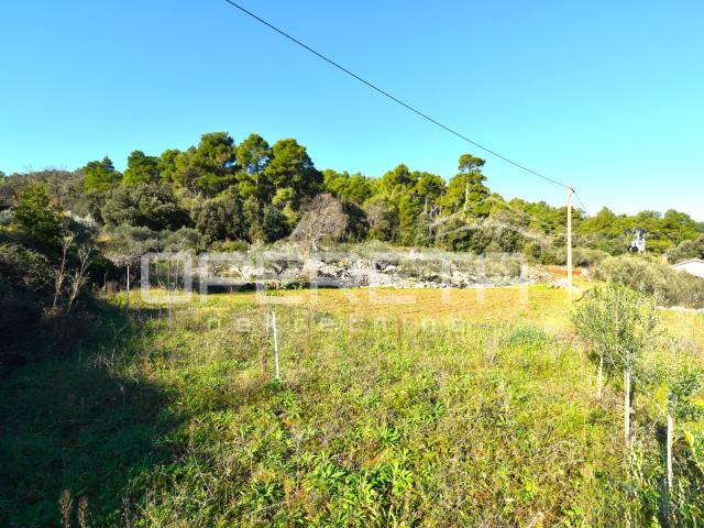 Rijetka prilika – zemljište 3.112 m², Dol, otok Hvar
