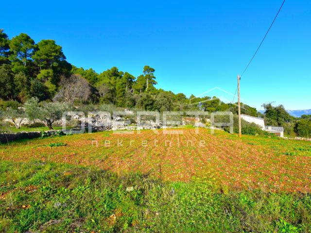 Rijetka prilika – zemljište 3.112 m², Dol, otok Hvar