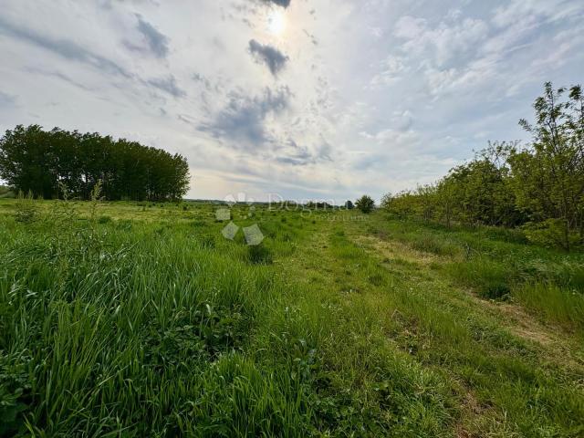 Zemljište 1794m² idealno za gradnju ili investiciju