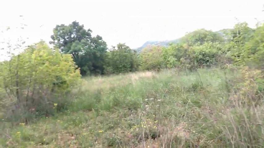 TERRAIN AGRICOLE À VENDRE – BARUTANA, MONTÉNÉGRO   