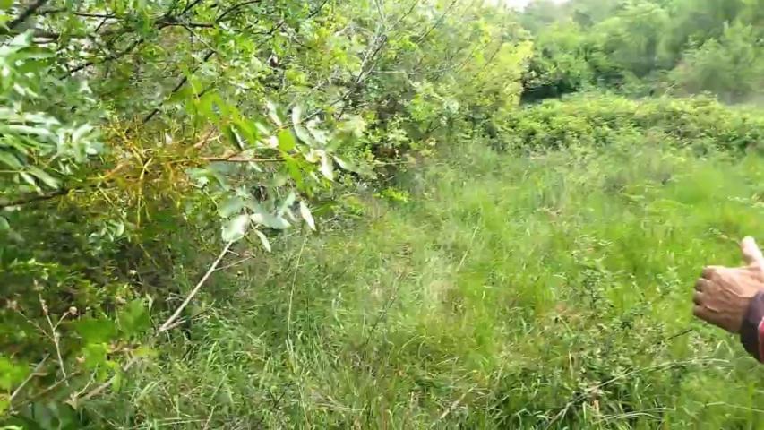 TERRAIN AGRICOLE À VENDRE – BARUTANA, MONTÉNÉGRO   