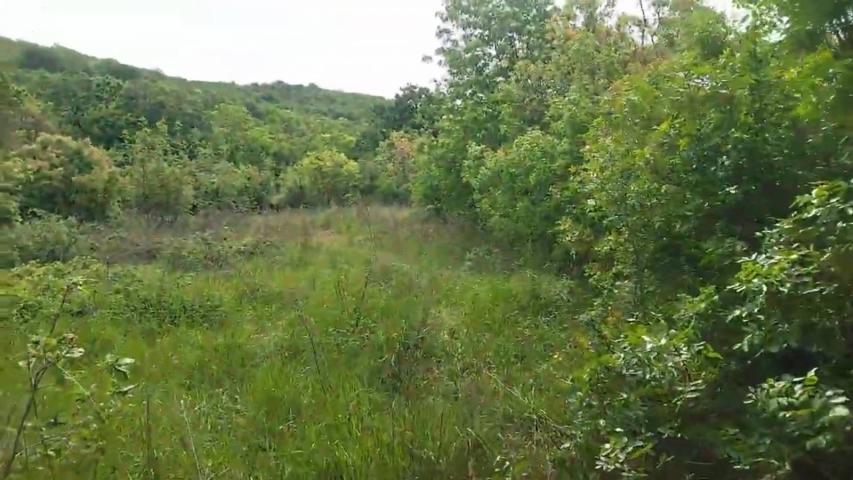 TERRAIN AGRICOLE À VENDRE – BARUTANA, MONTÉNÉGRO   