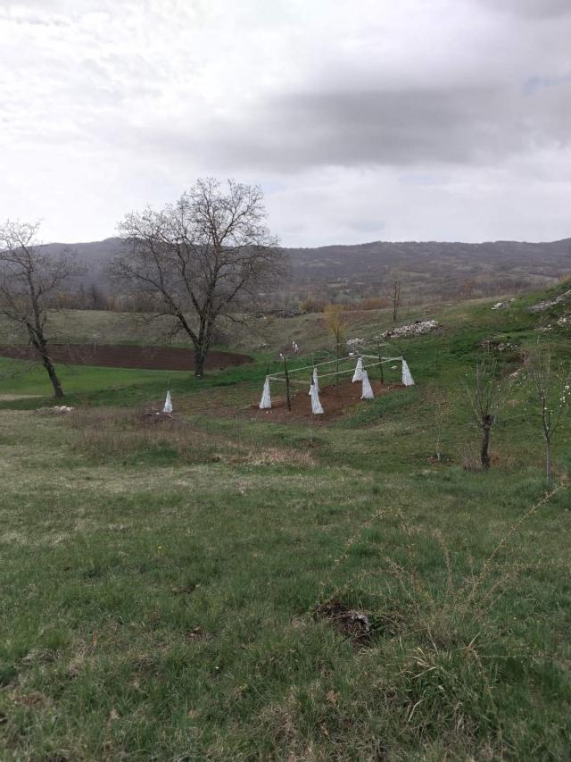 PRODAJE SE - Porodično imanje Dubače - Nikšić Crna Gora