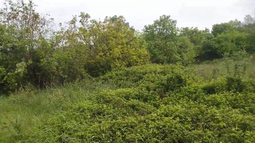 TERRAIN AGRICOLE À VENDRE – BARUTANA, MONTÉNÉGRO   
