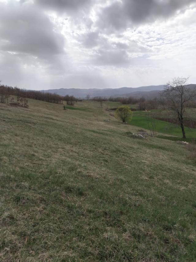 PRODAJE SE - Porodično imanje Dubače - Nikšić Crna Gora