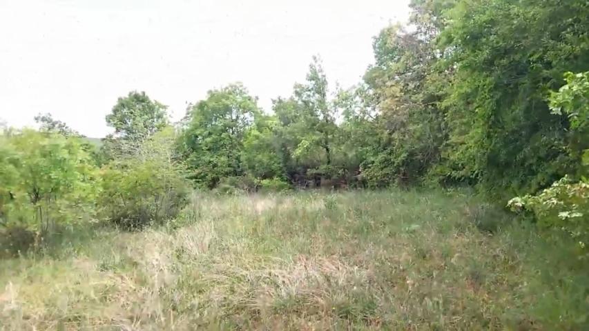 TERRAIN AGRICOLE À VENDRE – BARUTANA, MONTÉNÉGRO   
