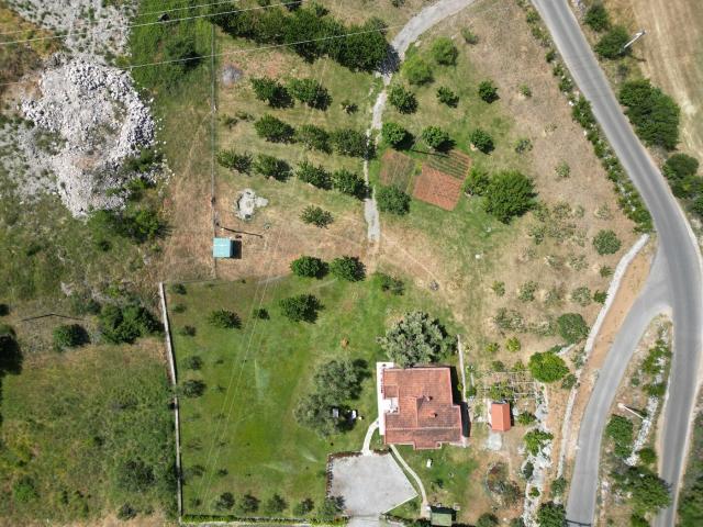 Kuća, 180m2, na placu od 6318m2, Smokovac, Podgorica