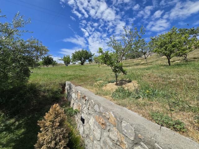Kuća, 180m2, na placu od 6318m2, Smokovac, Podgorica