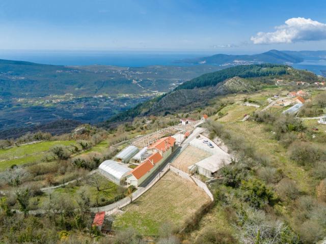 Farmhouse with open sea view, Kotor, Mirac