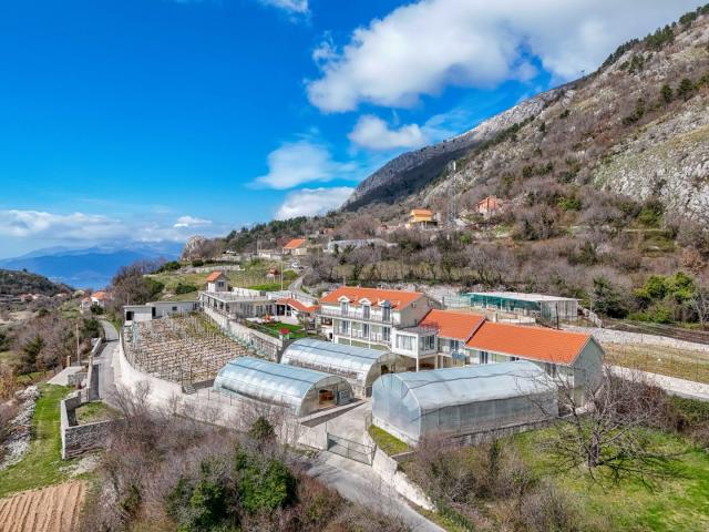 Farmhouse with open sea view, Kotor, Mirac
