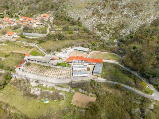 Farmhouse with open sea view, Kotor, Mirac